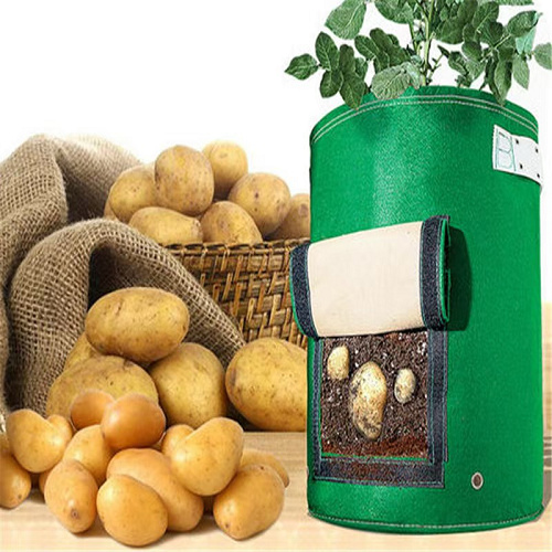 Felt Potato Plant Pot 